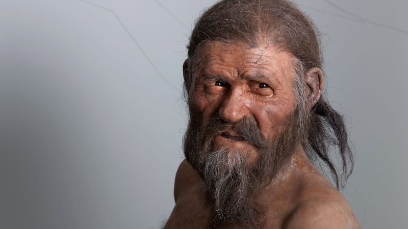 Ötzi the Iceman: A Perfectly Preserved Time Capsule
