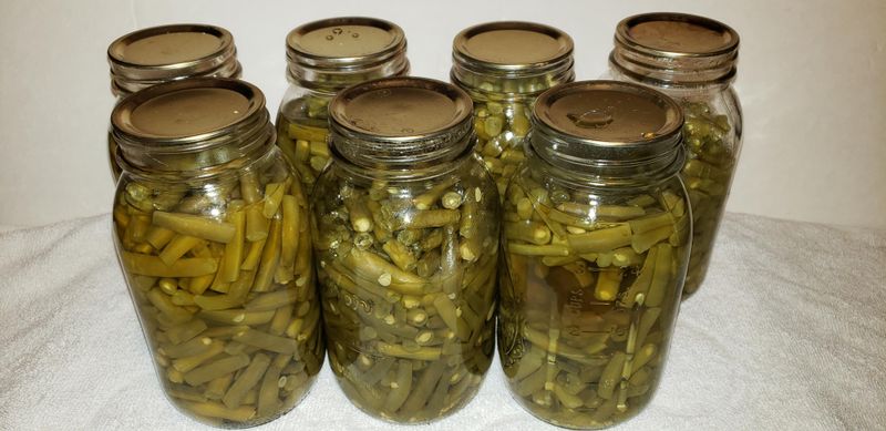 Home-Canned Green Beans (Botulism Special)