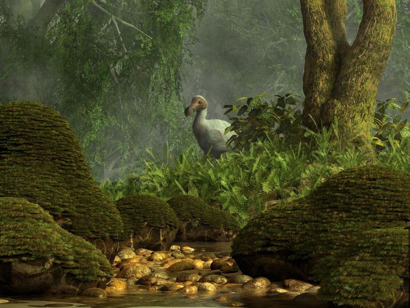 Mauritius Ecosystem Needs Restoration First