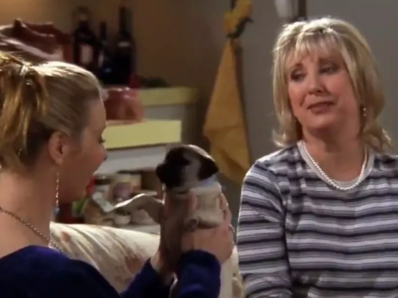 Teri Garr (Phoebe Abbott)