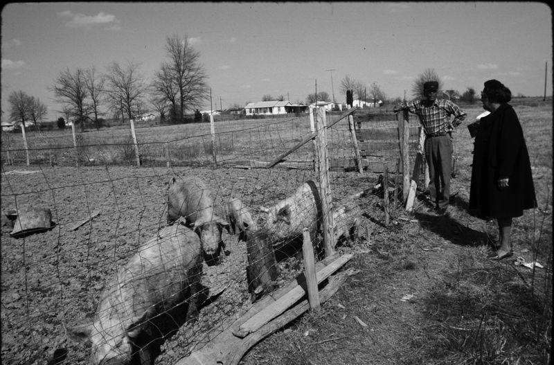 Advocated for Economic Justice Through the Freedom Farm Cooperative