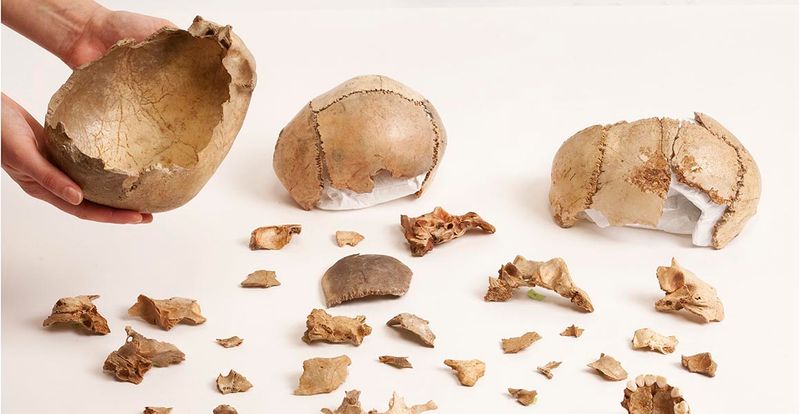 Cannibalistic Funeral Rites – Certain Tribes