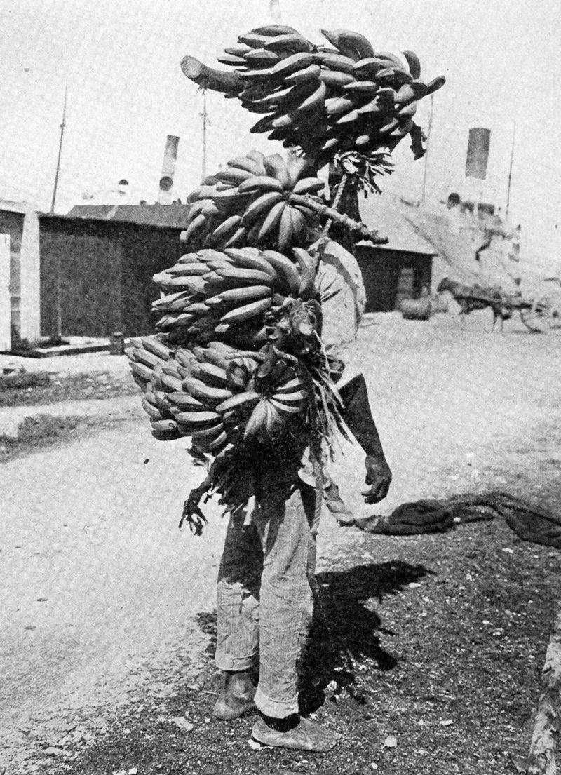 Bananas