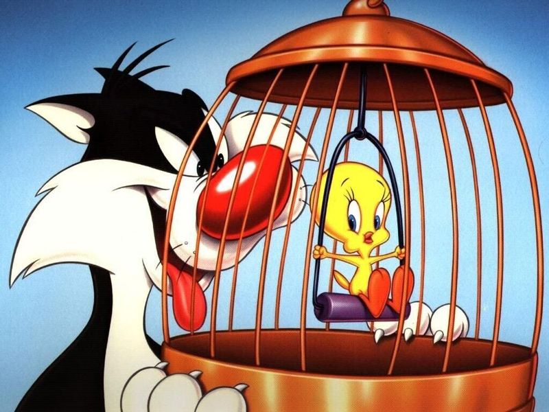 Tweety’s 