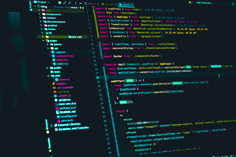 All Software Contains Bugs