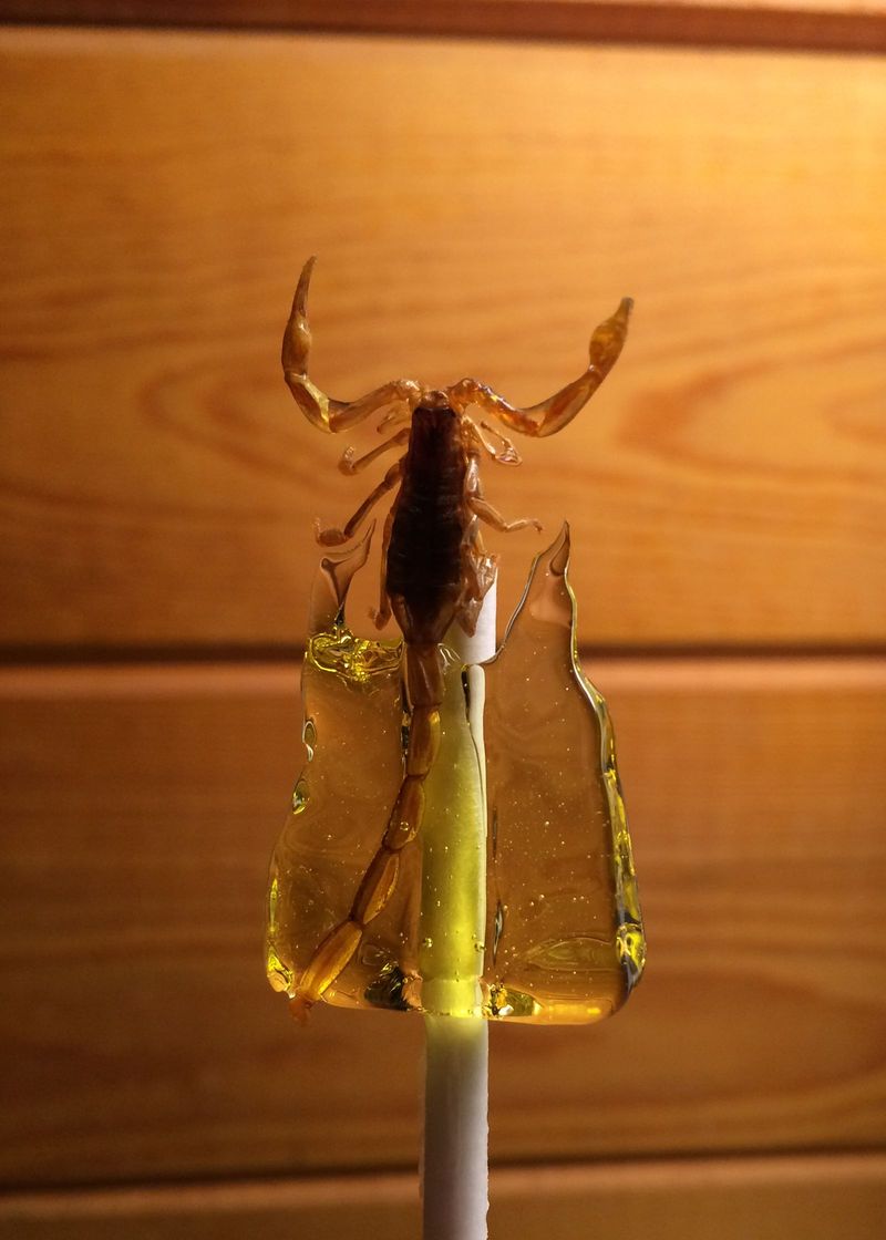 Lollipops with Scorpions or Insects