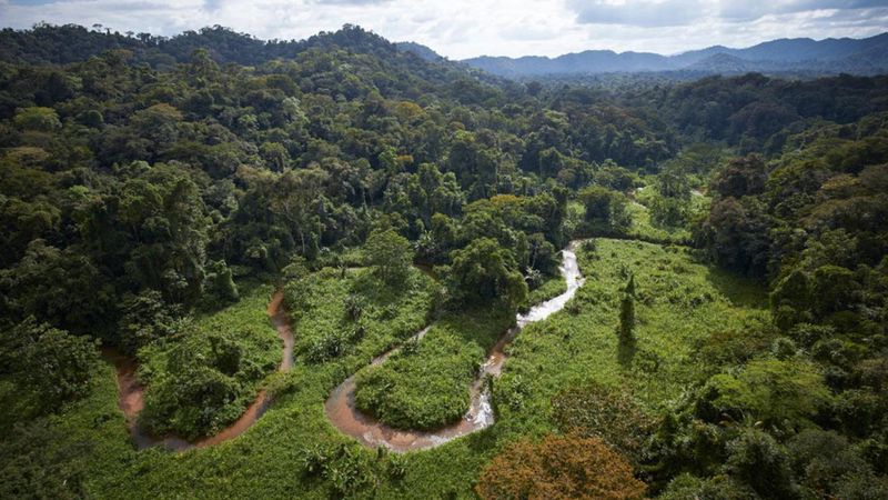 Lost City of the Monkey God (Honduras)