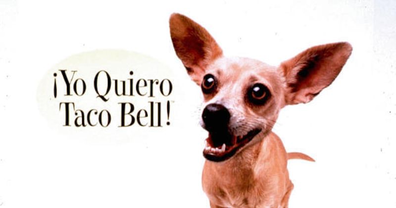 Taco Bell Chihuahua Yo Quiero Campaign (1997-2000)