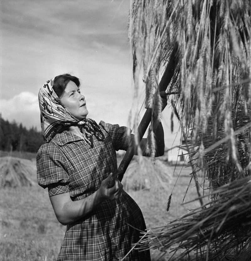 Sally Salminen – Finnish-Ålandic Novelist (1976)