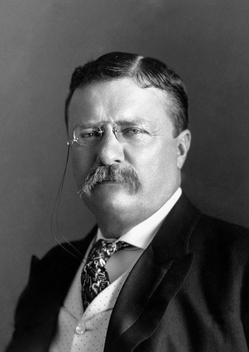 Theodore Roosevelt – President & Secret Police Commissioner