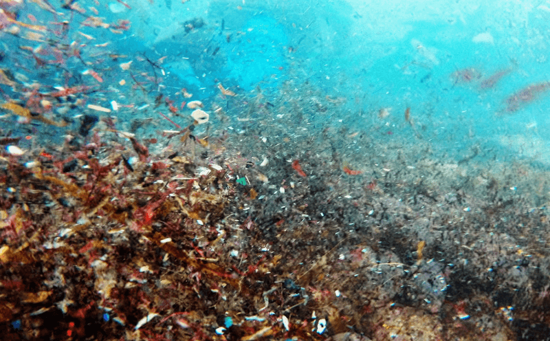 Microplastics are Everywhere — Even in Humans