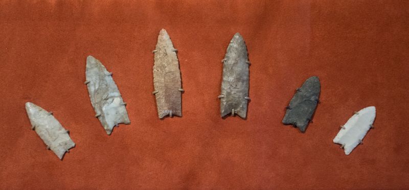Mysterious Disappearance of Clovis People