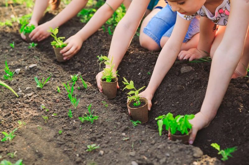 Gardening and Farming