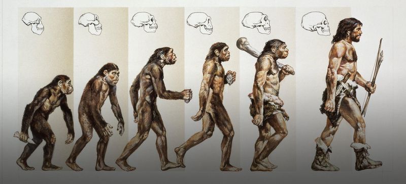 Humans Were Created Fully Formed