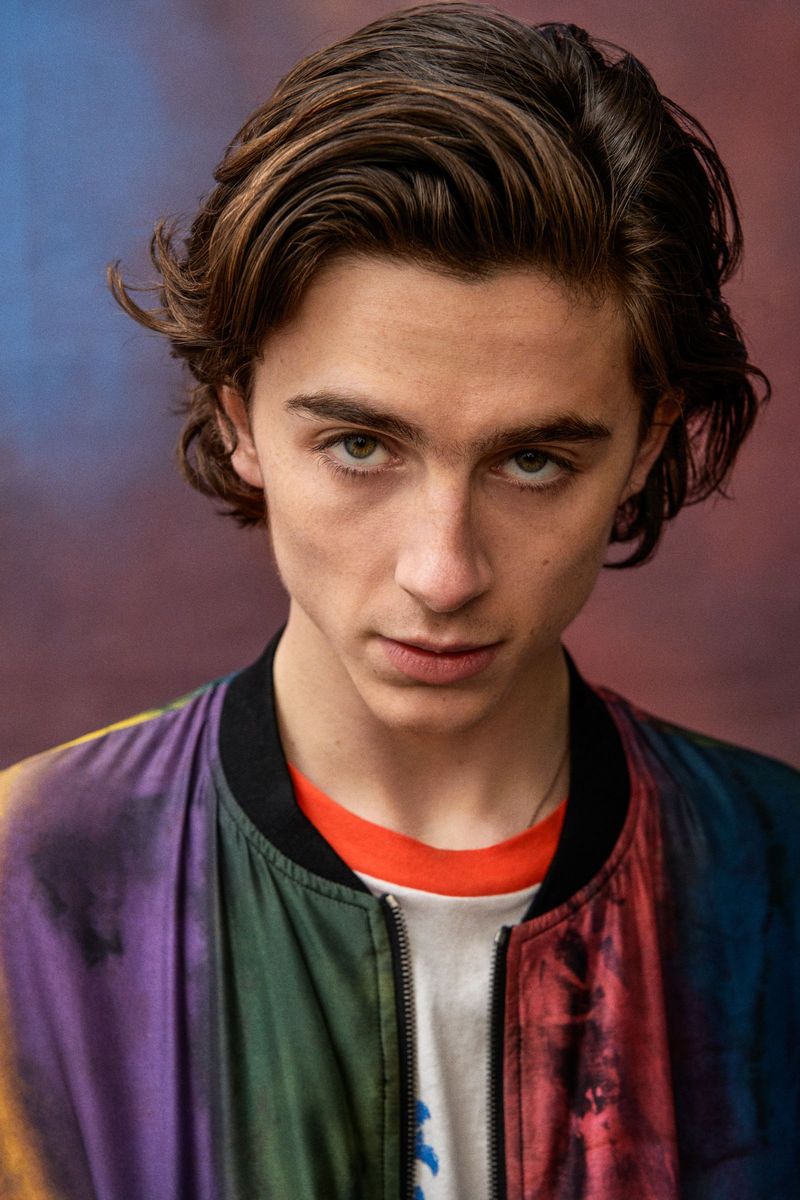 Timothée Chalamet's Delicate Bone Structure
