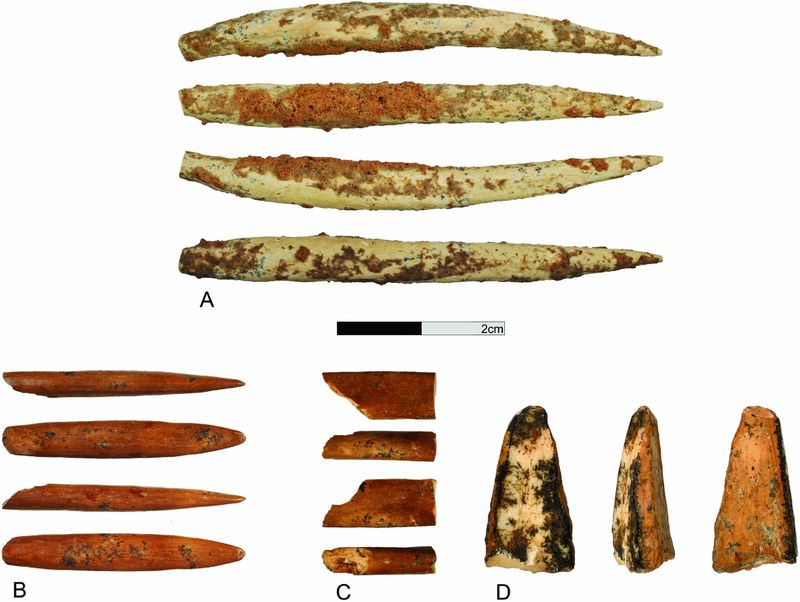 Inter-Island Trade Networks Existed Before Farming