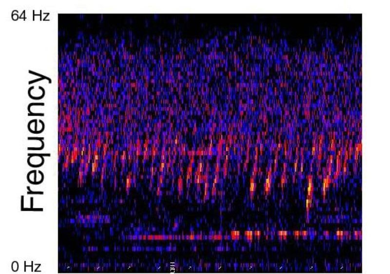 Upsweep Sound