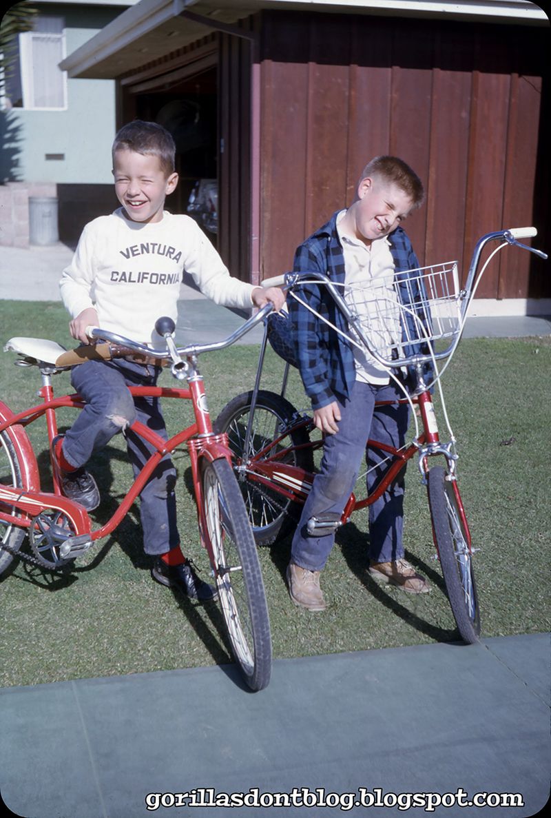 Your Bike Was Your Freedom (And Your Identity)