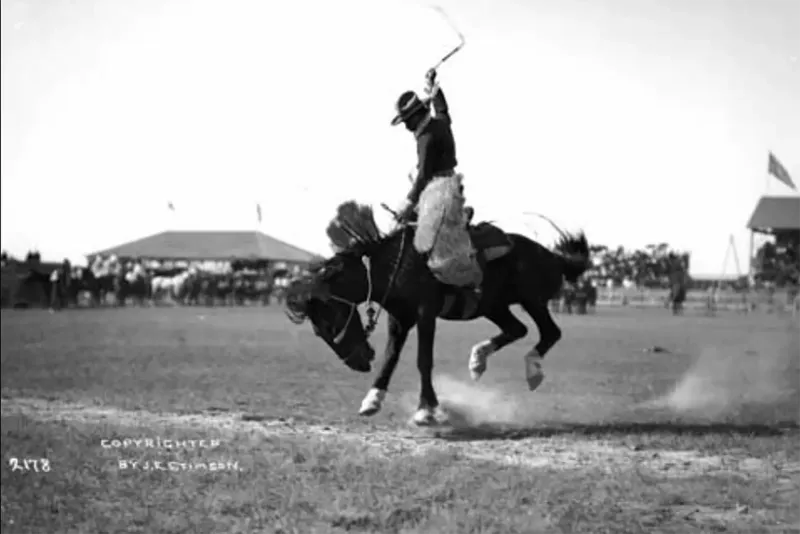 Steamboat: The Legendary Bucking Horse