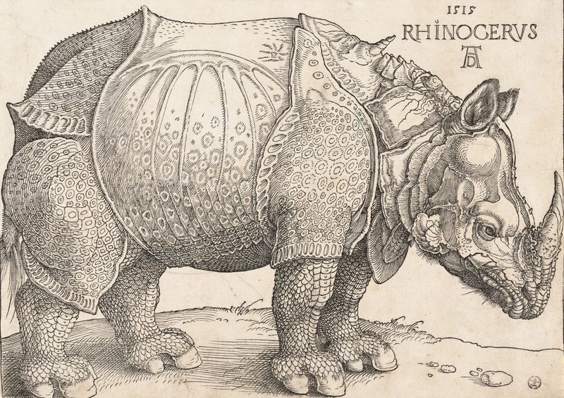 Rhinoceros - The Medieval Dragon Beast