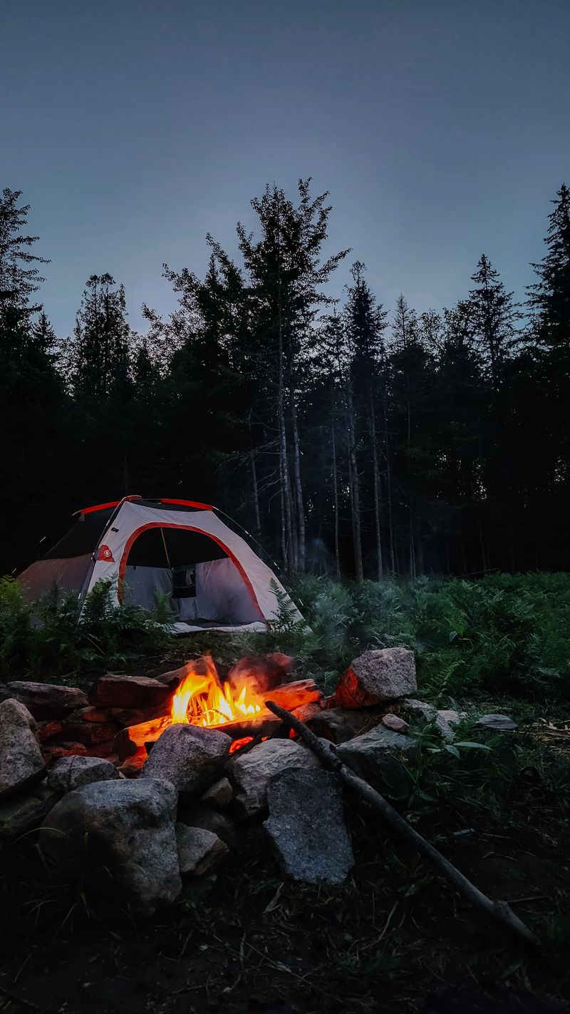 Backyard Camping Adventures