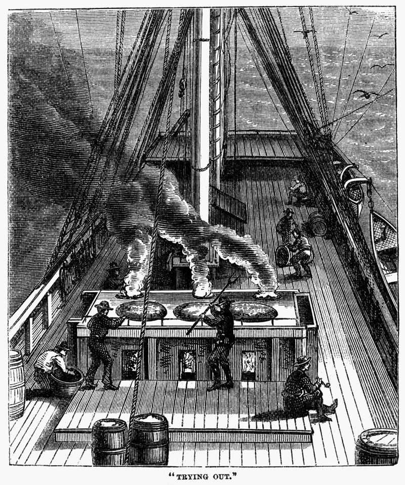 Whaling Ships Smelled Like Rotting Death