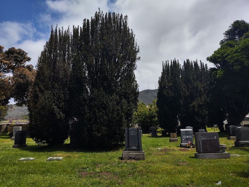 Symbolic Trees as Spiritual Guards