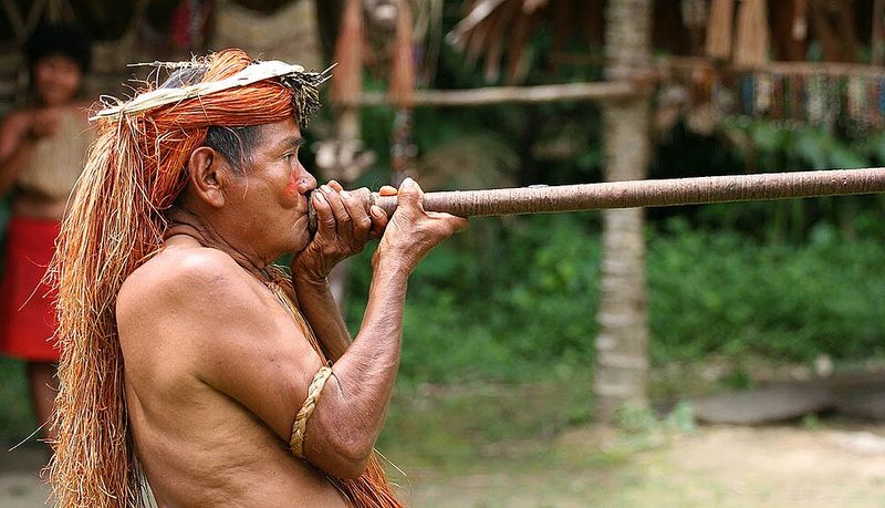 Blowguns with Curare Darts