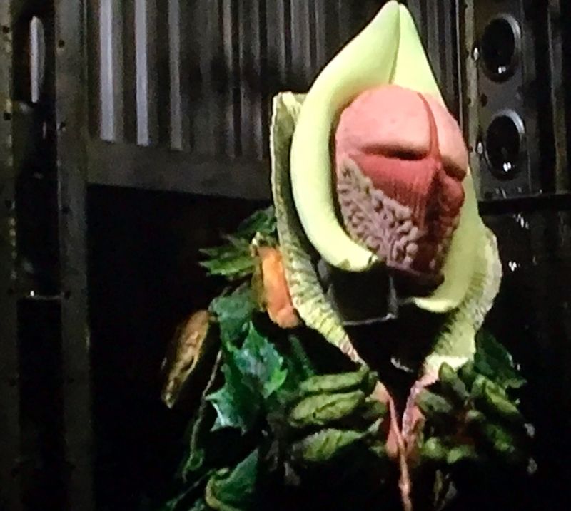 Vervoids – Doctor Who (1986)