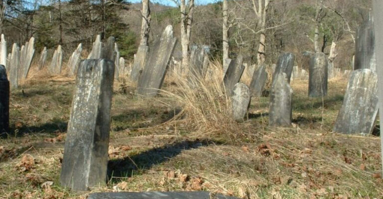 Forgotten Cemetery: 7 Shocking Truths Behind Field Stone Graves You Were Never Told