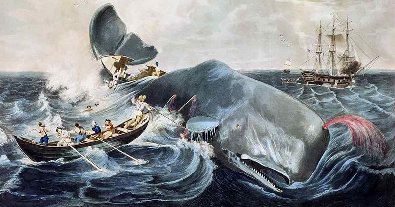 Moby-Dick by Herman Melville (1851)