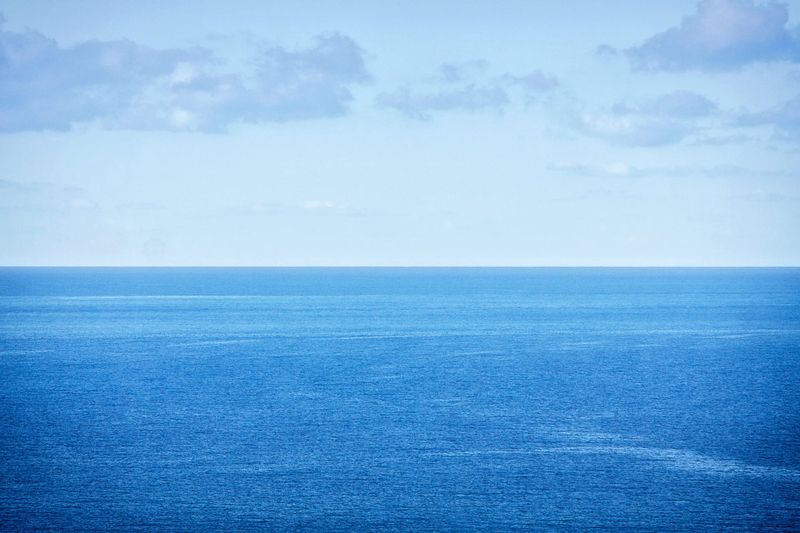 The Internet's Favorite Ocean Mystery