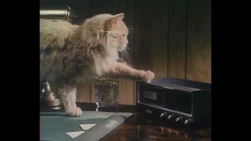 Meow Meow Meow Meow – Meow Mix (late ’70s)