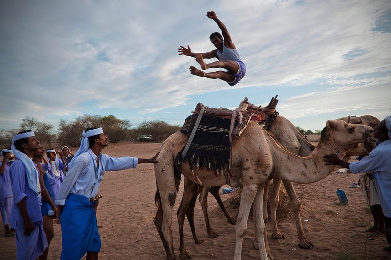 Camel Jumping