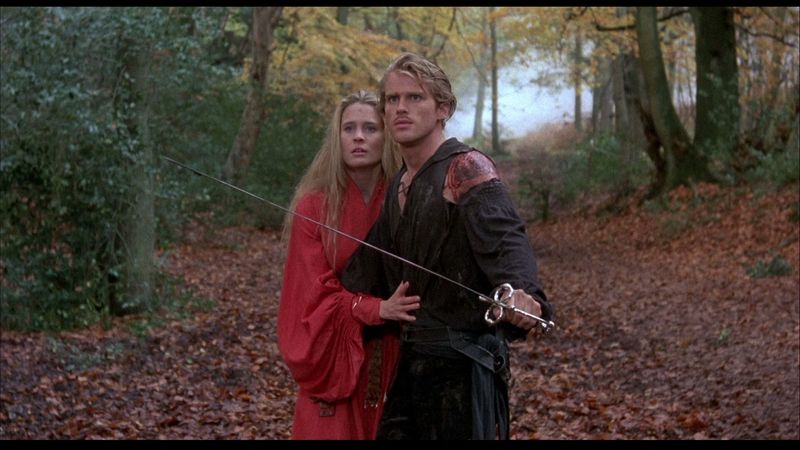 Westley & Buttercup (The Princess Bride)