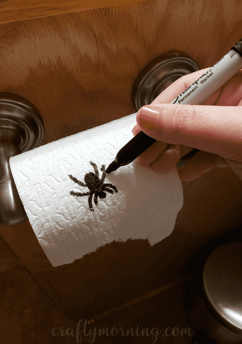 Toilet Paper Spider Trap