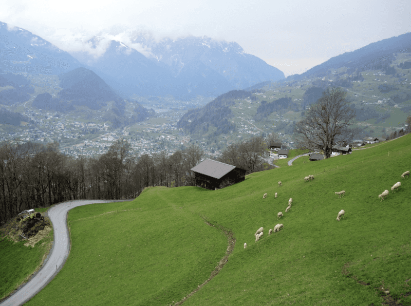 The Alpine Microclimates