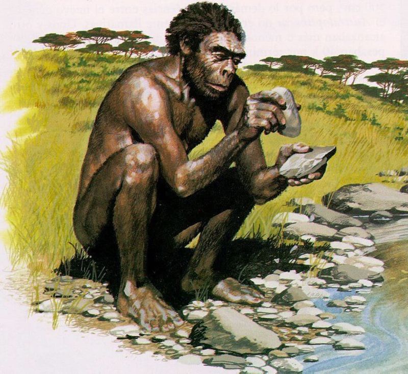 Handy Homo habilis: The First Toolmakers