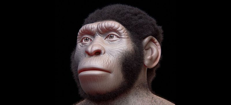 Homo naledi: The Cave Stars