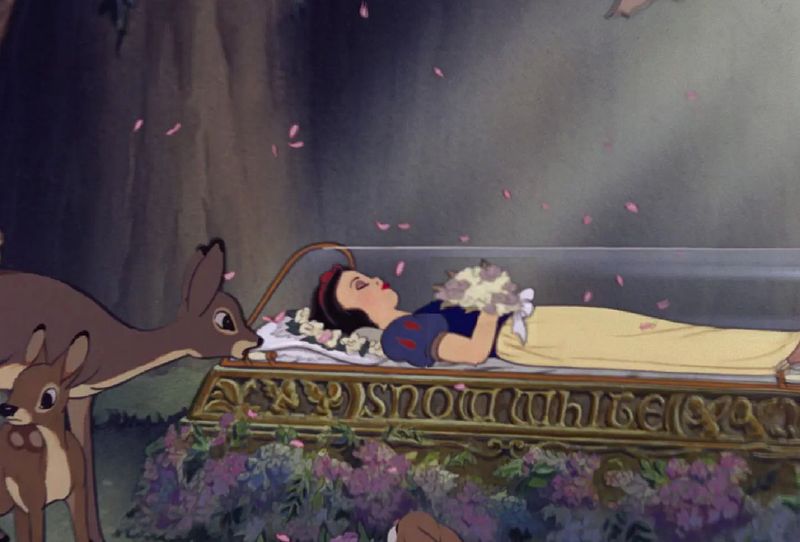 Why Didn’t the Dwarfs Just Wake Snow White Up?
