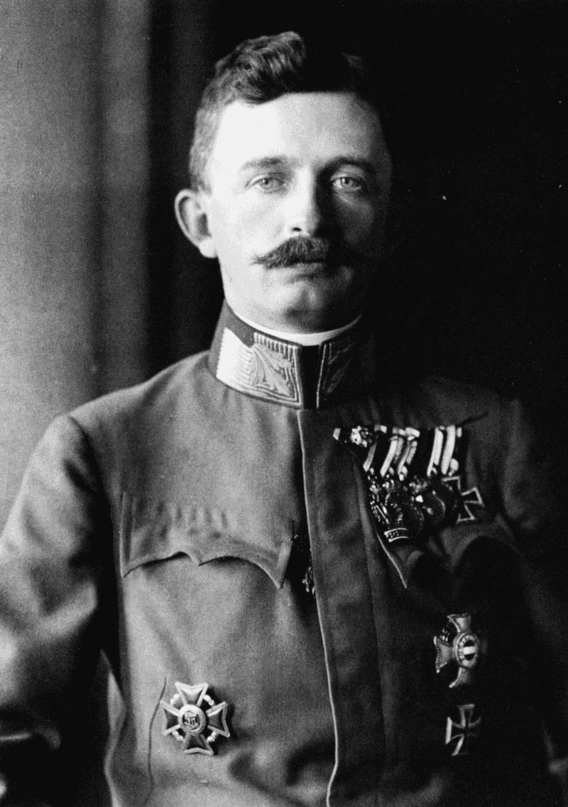 Emperor Charles I: Austria-Hungary's Final Chance
