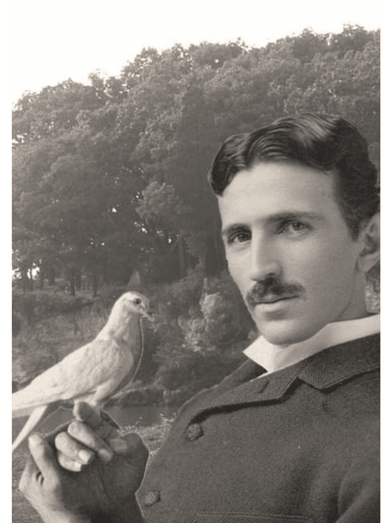 Nikola Tesla – The Pigeon-Loving, Germaphobe Inventor