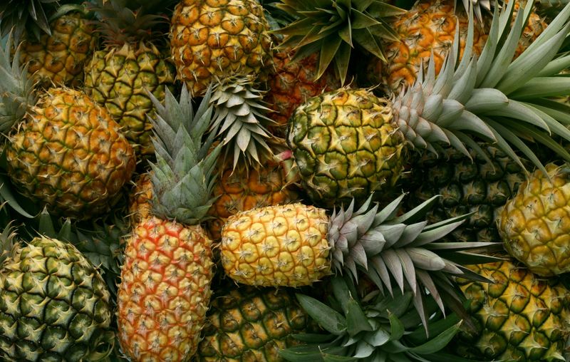 Pineapple