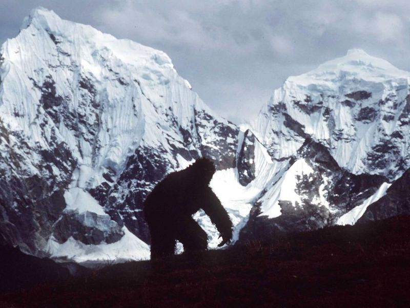 Yeti (Abominable Snowman)