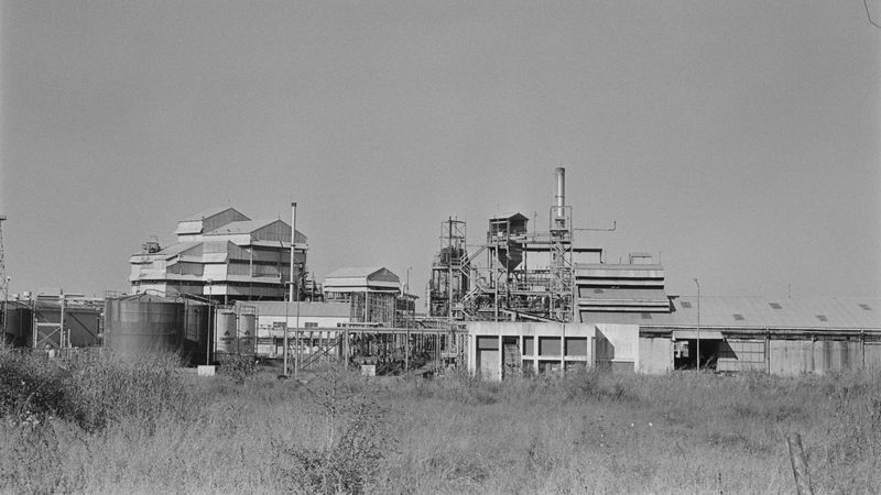 Bhopal Disaster (1984)