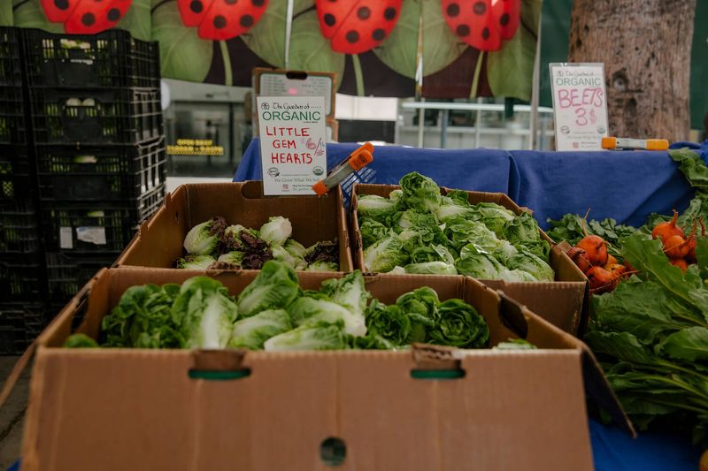 MotherNature.com (Organic Foods… Online?)