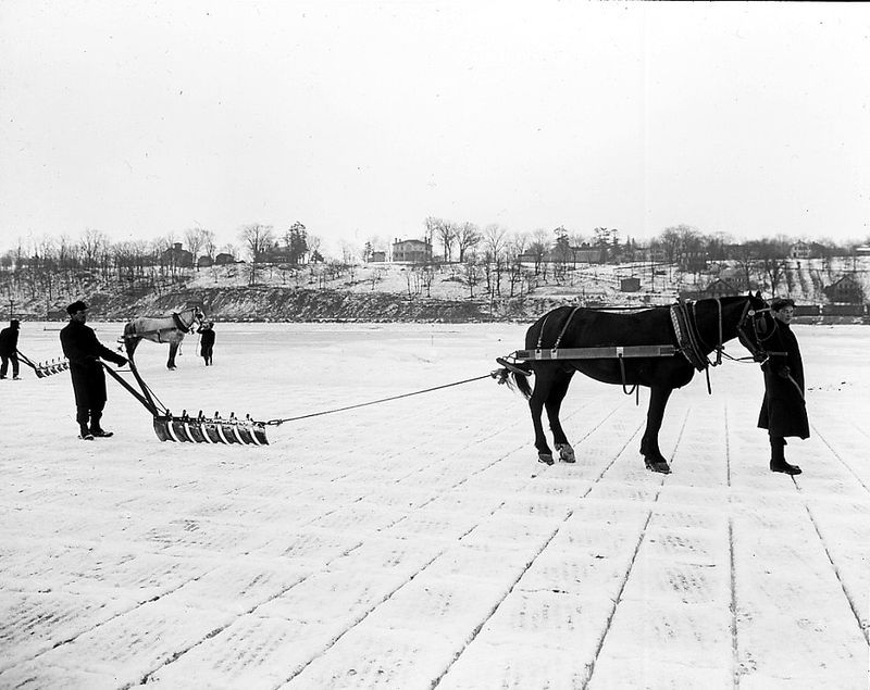 Ice Harvesting – Before Refrigeration