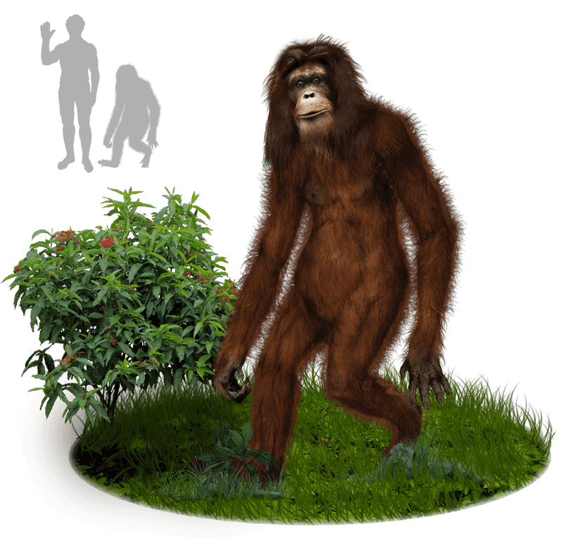 Orang Pendek