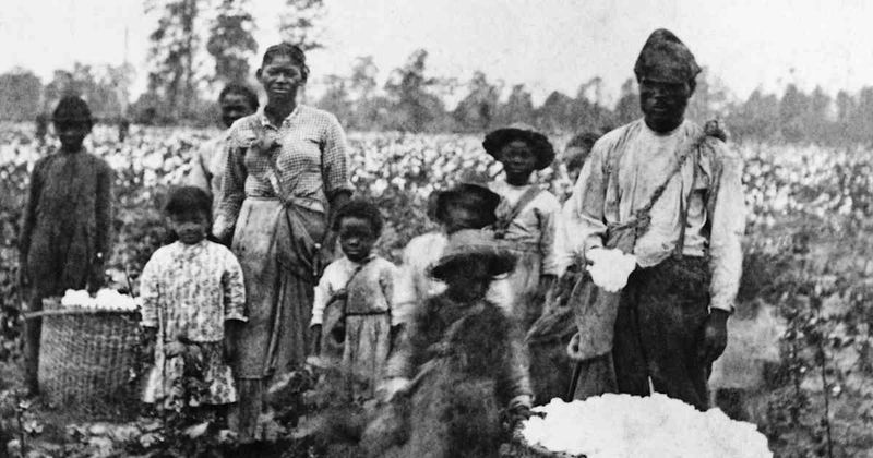 Slaves Were Better Off Than Free Workers
