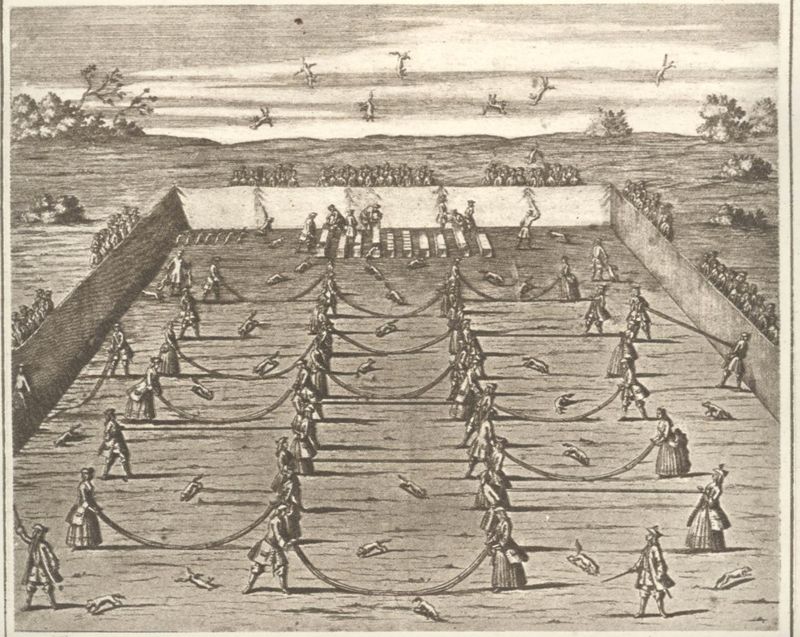 Fox-Tossing (17th-18th Century, Europe) 🦊
